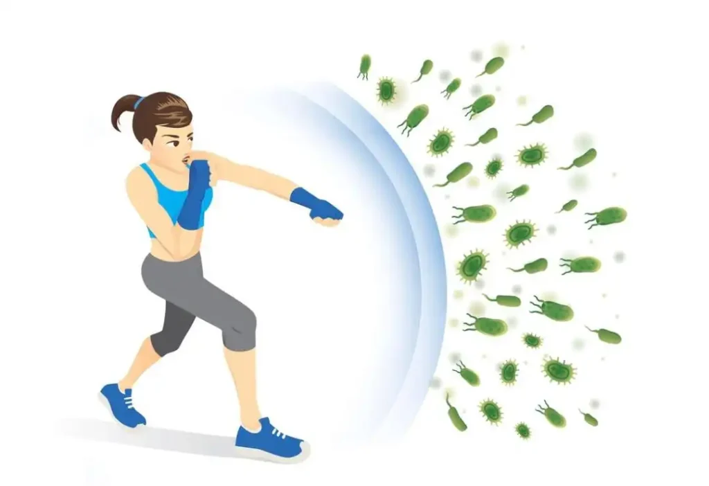 چطور سیستم ایمنی بدن را تقویت کنیم؛ بهترین خوراکی و مکمل