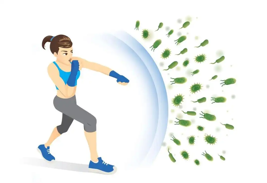 چطور سیستم ایمنی بدن را تقویت کنیم؛ بهترین خوراکی و مکمل