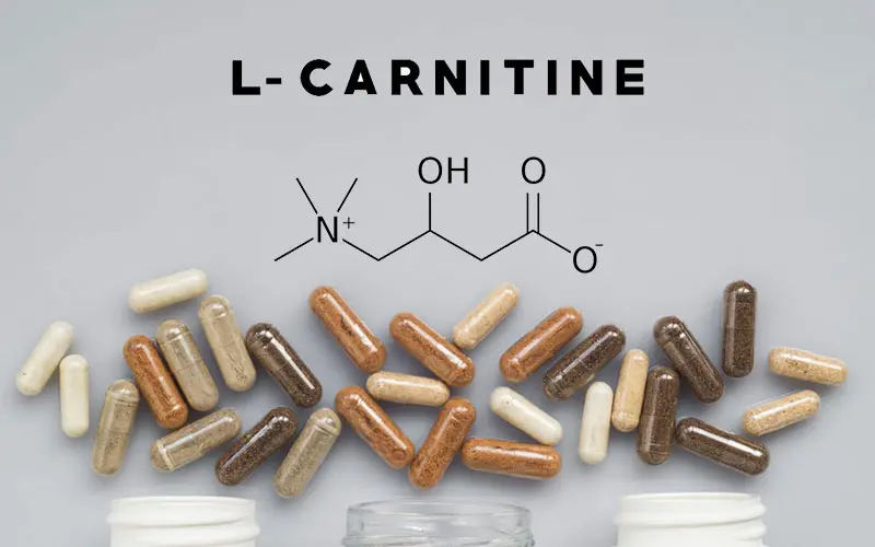 خواص ال کارنیتین چیست؟ بررسی تأثیر آن بر لاغری و چربی‌سوزی